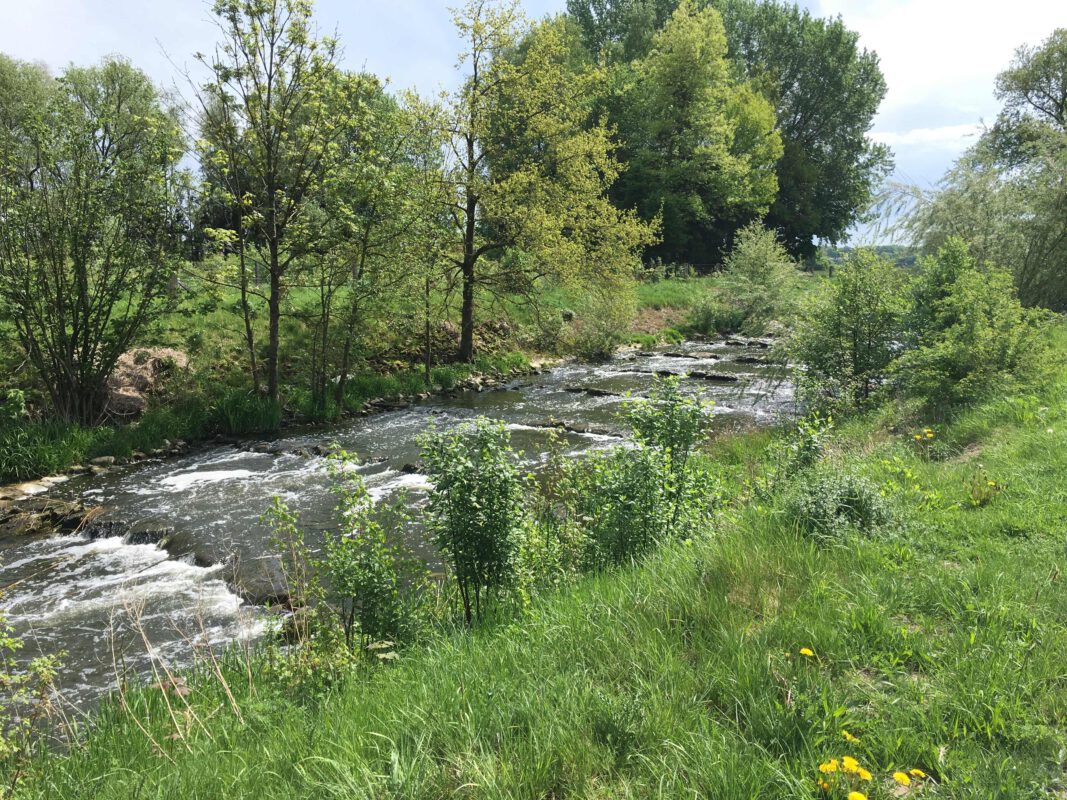 Kanuabteilung des VfL Hüls e.V. – Kanuverein aus Marl